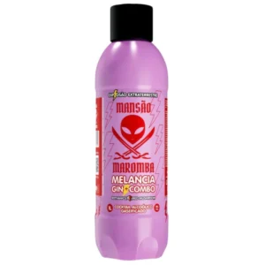 Gin + Combo Melancia 1L (6 unidades)